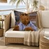 TV Series Alf Pillow Case for Sofa Living Room Home office Decor Protective Cover