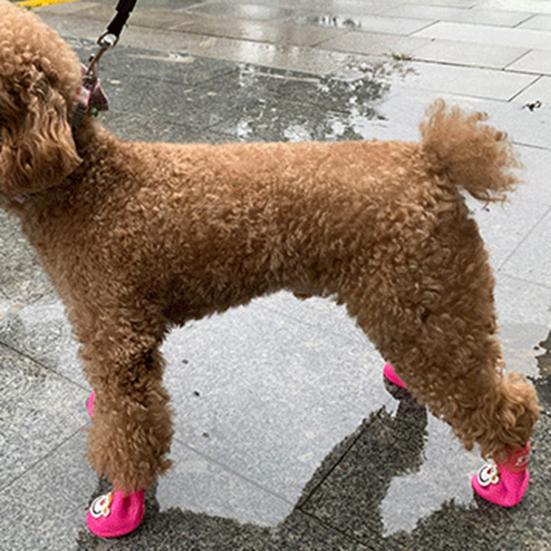 4Pcs Pet Rain Boots Monkey Print Waterproof Lightweight Cartoon Pattern Fastener Tape Dog Shoes for Outdoor