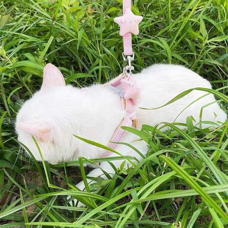 Cat Traction Rope Special Traction Small Starfish Nylon Pet Chest Strap Cute Walking Cat Rope When Going Out To Prevent Breaking Free