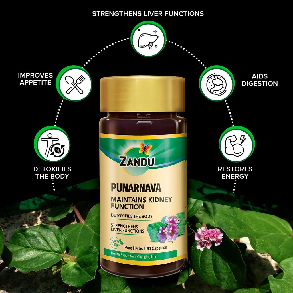 Zandu Punarnava Capsules With Natural Punarnava Extract For Gut Health Appetite Support And Daily Wellness Supplement Pack Of 2