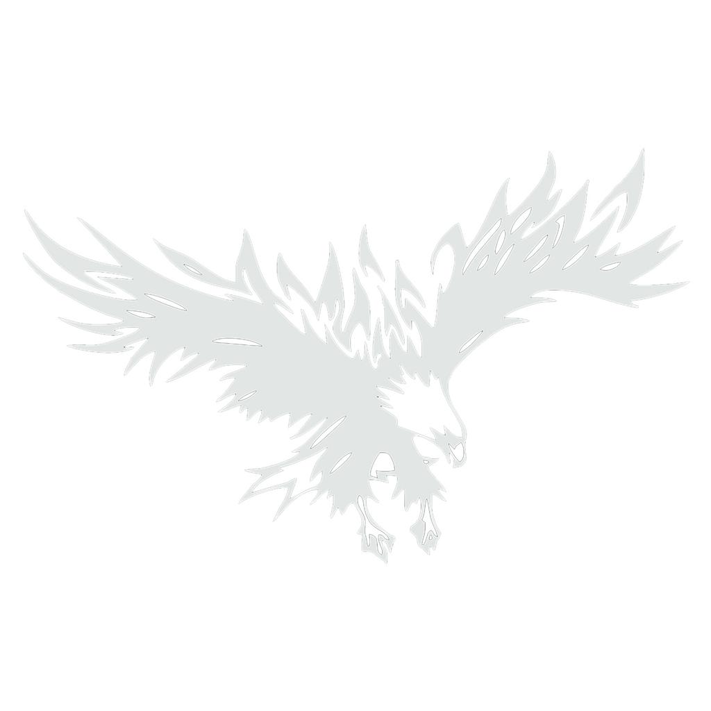 Eagles Car Decal DIY Styling Decorative Eagle Graphic Car Sticker Universal Auto Body Hood Decal
