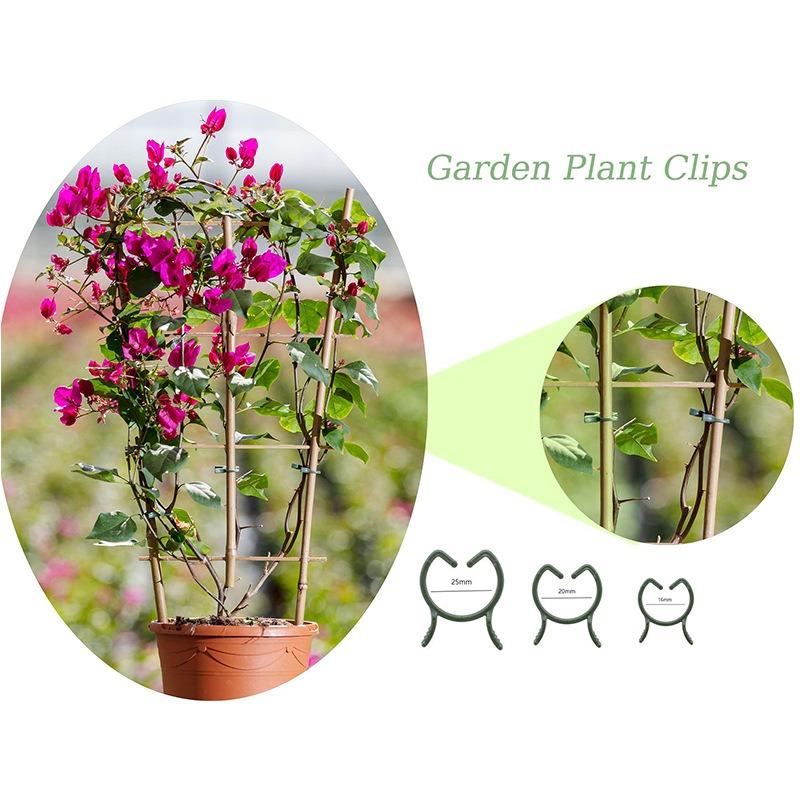 Plastic Orchid Clips Plant Support Clip Flower and Vine for Supporting Stems Vines Flower Grow Upright Garden Supplies 100/200