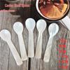 8CM Shell-Design Plastic Coffee & Dessert Spoon