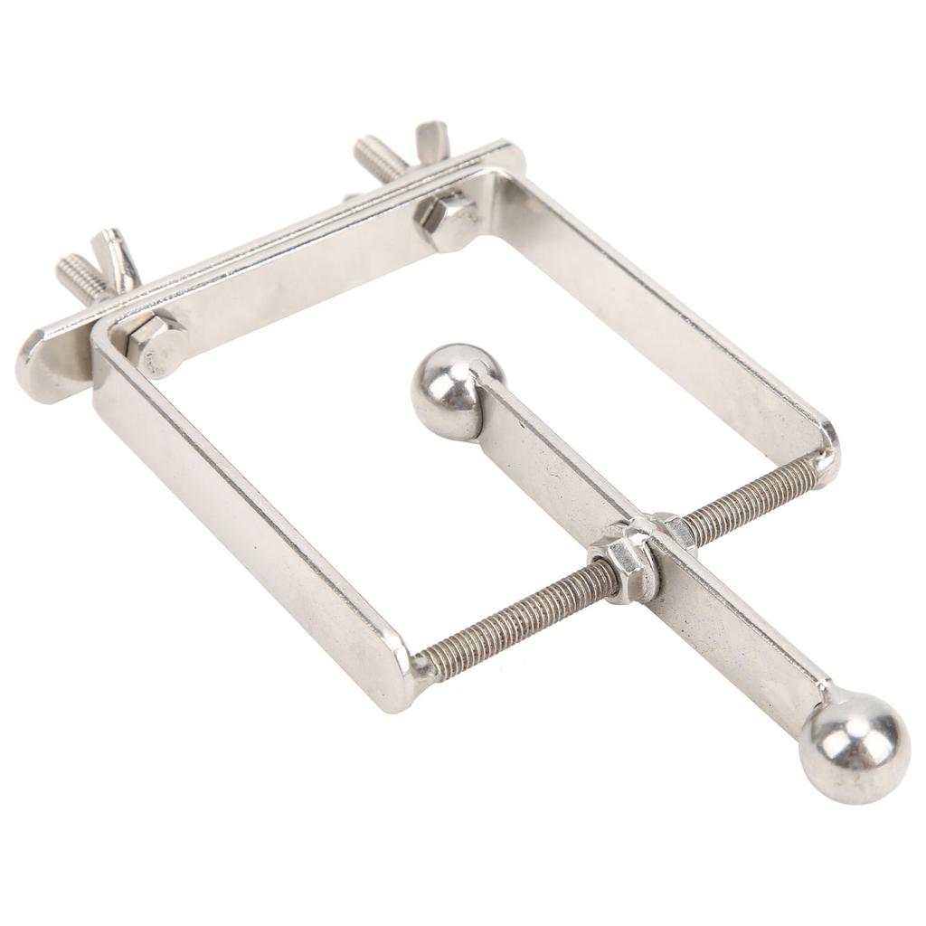 Bird Spinner Toy Stainless Steel Parrot Spinning Toy for Chewing Training and Improving Intelligence