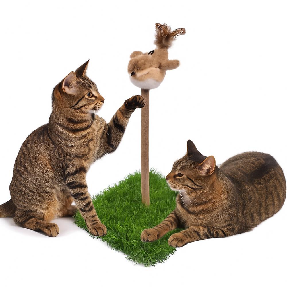 Plush Sparrow Cat Scratching Tray Bite Resistant Teasing Cat Sounds Toy  for Cats Kittens