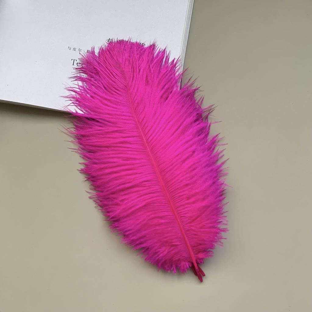 Source Thin Rod Ostrich Hair 20-25Cm High Quality Feather Diy Stage Clothing Accessories Flower Arrangement Material