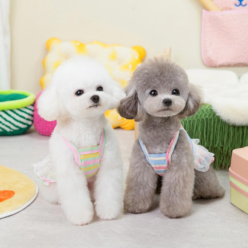 Small Dog Pet Clothes Dog Cat Spring and Summer Flower Skirt Bigbear Pomeranian Corgi 11 Lace Edge Suspender Skirt