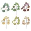 Simulation  Eucalyptus Colored Leaves Photo Shoot Photography Background Props Tabletop Home Decor