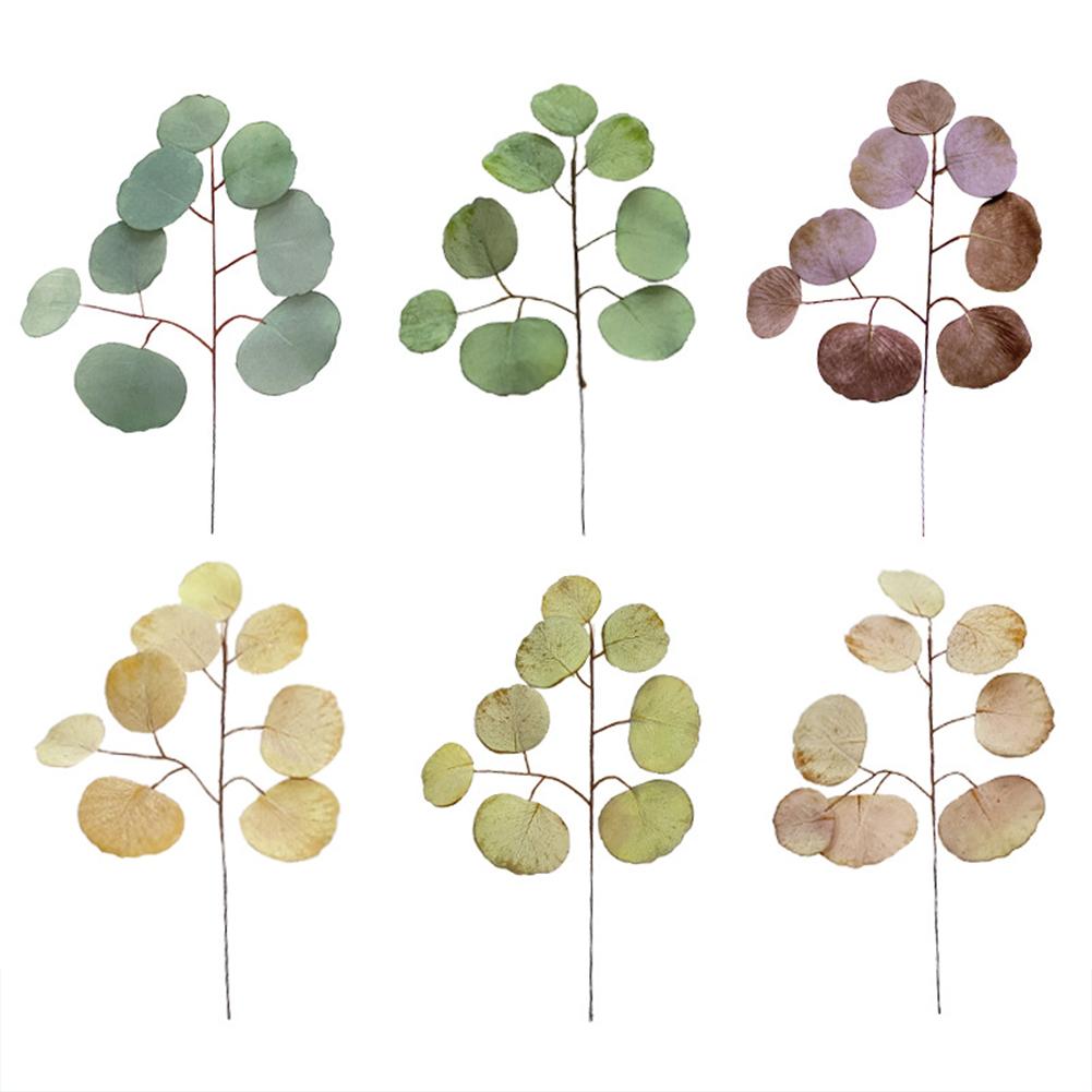 Simulation  Eucalyptus Colored Leaves Photo Shoot Photography Background Props Tabletop Home Decor