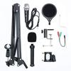 Desk Arm Microphone Stand, Desktop, Extendable, Holder, Adjustable Arm, Clamp, for Studio Microphones, Condenser Microphones, Foldable Stand Arm Set,