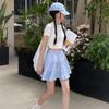 Blue High-waisted Skirt Women's Character Anti-light Spring and Summer Academy Style Simple Pleated Casual Cake Short Skirt