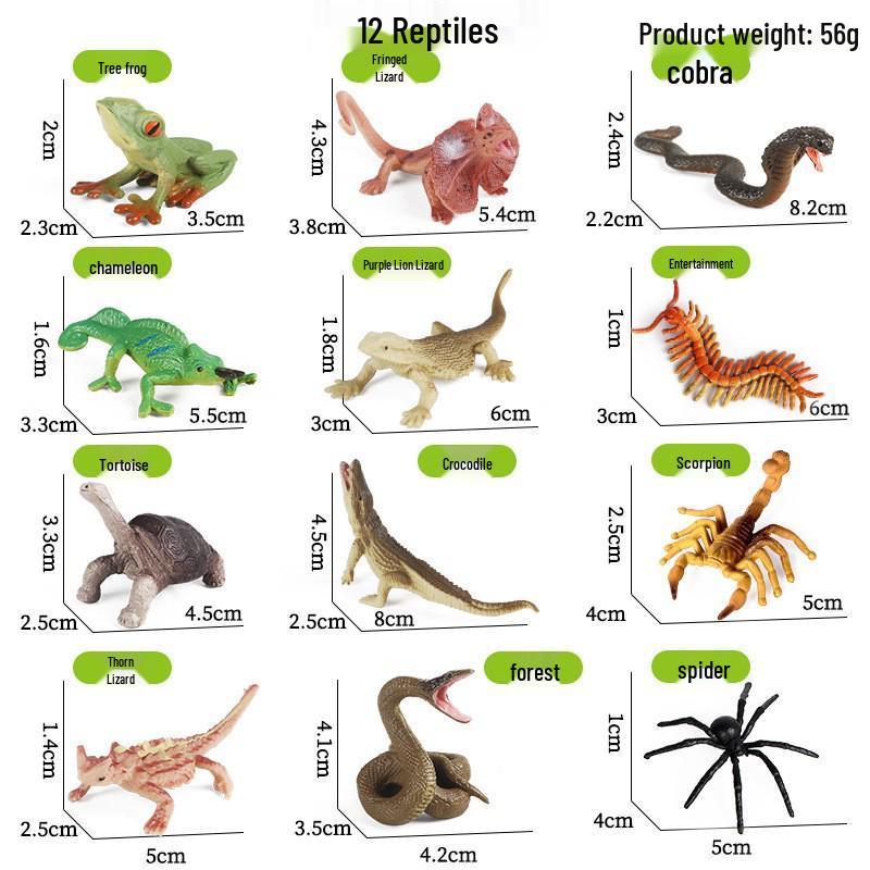 Large Insect Toy Set: Butterfly, Bee, Dragonfly, Ant, Cicada, and Rhinoceros Beetle Models for Kids