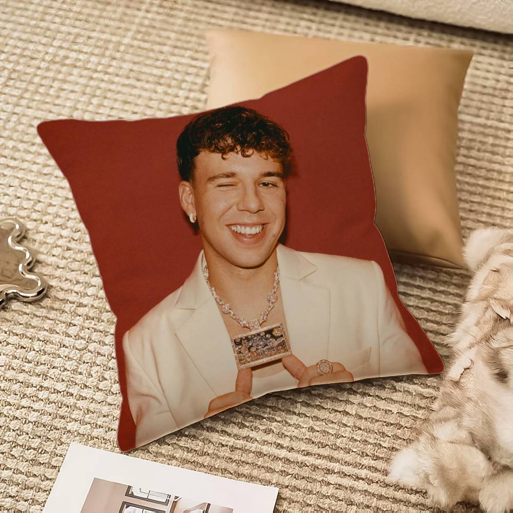 

H-Hot Singer Q-Quevedo Buenas Pillow Case Anti-dustmite Invisible zipper Sofa Bed 12x12Inch