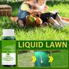 59ml Green Grass Lawn Spray Household  System Liquid Spray  Lawn Care Grass Nutrient Solution Fertilizer