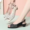 Women's Sandals Summer Mid-heel Mesh Shoes Female Large Size Formal Breathable Sandals Women