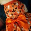 Pet Pumpkin Frock Bat Print Dress Dog Costume Apparel Halloween Dog Clothes Festival Cosplay Puppy Clothes Funny Pumpkin Spider