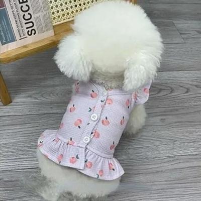 Ropa y calzado – Vestidos para perros