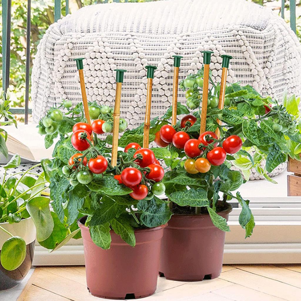 36Pcs Green Bamboo Canes Stick End Caps PVC For Injury Prevention for Home Garden Fence Stick Safety Cane Caps