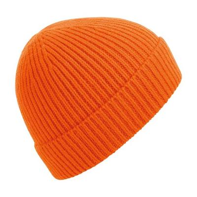 Engineered Knit Ribbed Beanie
