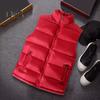 Men Waistcoat Stand Collar Sleeveless Vest Coat with Pockets Zipper Closure Warm Comfortable Down Waistcoat