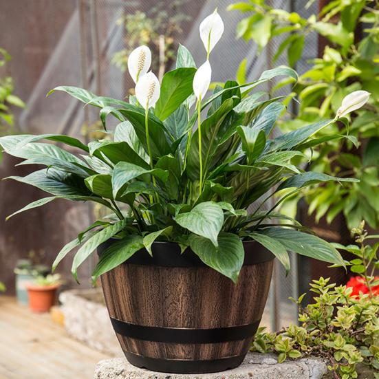 Flowerpot with Built-In Drainage System Rustic Barrel Style Decorative Garden Planter