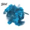 Feather Decorations for Colors 4.5-10cm Natural Chicken Guineahen Feathers Crafts 50Pcs Tail Bright Colored DIY