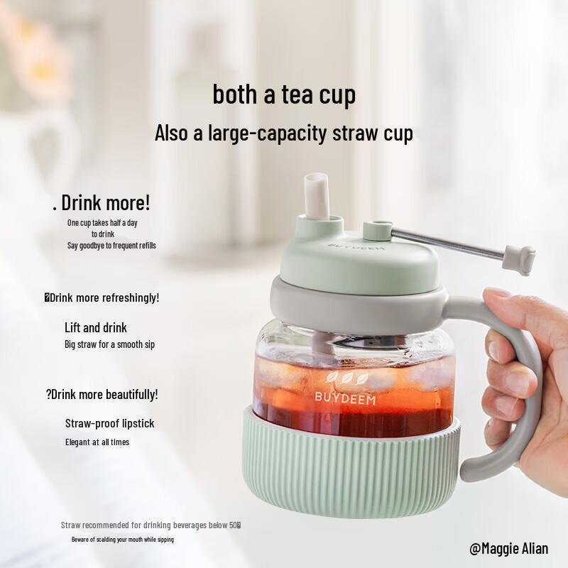 Buydeem Portable Glass Tea Tumbler