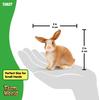 Schleich Farm World Rabbit Figure 13827