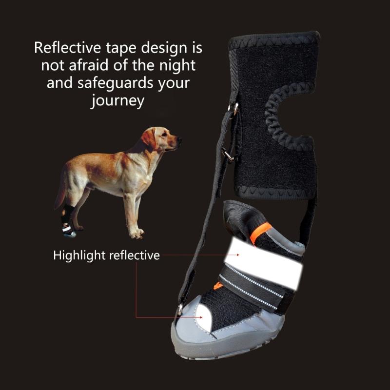 Fashion Dog Shoe Recovery Boot Waterproof Pet Shoe Snow Rain Dog Recovery Boot For Daily Walks