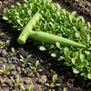 Ergonomic Dibbler Gardening Tool Multi-Purpose Plant Hole Digger For Cucumbers Tomatoes, Transplanting Potting Garden Yard