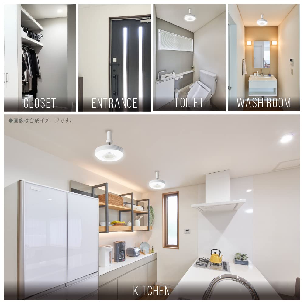 Doshisha Compact Light with Ozone Generator, Socket Model, Motion Sensor, 60W, Daylight White, Luminous LED