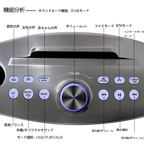 [Second-Generation Upgrade] Karaoke Microphone, Speaker Microphone Set with Sound Card (Male/Female/Child Voices), High-Powered Microphone, and Two Ha