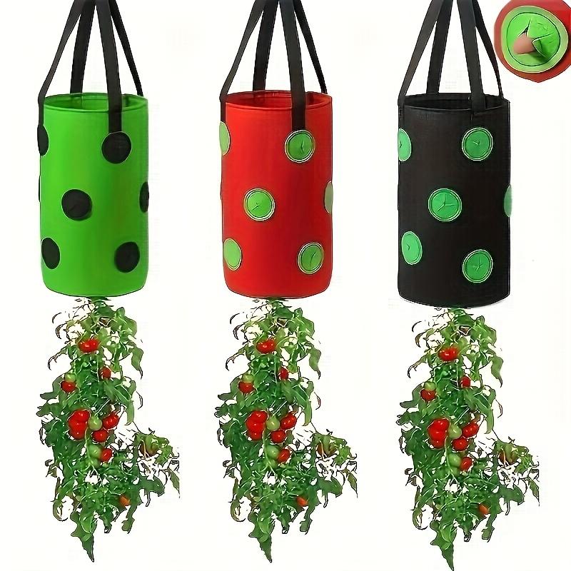 1pc Contemporary Geometric Pattern Plastic Plant Growing Bag, Wall Hanging Strawberry Planter, Lightweight, Indoor & Patio Use