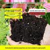 Organic Universal Soil for Flowers, Vegetables, Succulents & Bonsai; Nutrient-Rich Planting & Fertilized Flower Soil