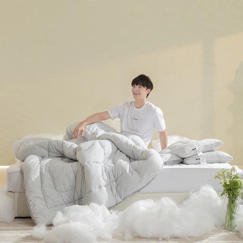HLA Antibacterial Thickened Wool Winter Duvet