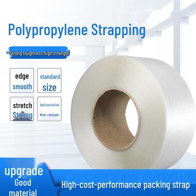 Puwei PP Machine Strapping Band CN Plug (adapter Included)
