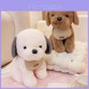 Plush Dog Toy Doll With Pp Cotton Filling For Kids And Sleep Support