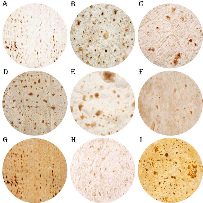 Burrito Round Taco Tortilla Shaped Blanket Soft Floor Wrap Throw Blanket