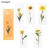 Book Note Marker PET Bookmarks Card Specimen Bookmarks Nature Plants Bookmarks Translucent Flower