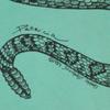 Hanes 80s Made in USA Vintage snake Short sleeve T-shirt Men's Used