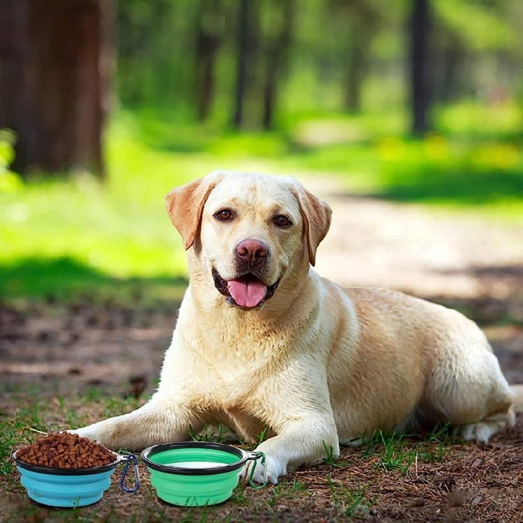 Travel Friendly Dog Bowl Space Saving Folded Pet Bowl Outdoor Pet Feed Bowl for Outdoor Excursions
