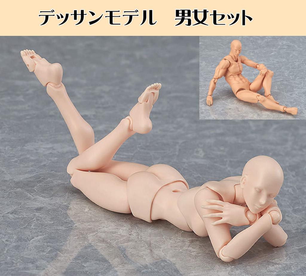 Drawing Drawing Drawing Model Human Body Drawing Practice Stand Scale Male and Female Skin Tone Model, Figure, Doll, Figure, Doll, Model, Mannequin,