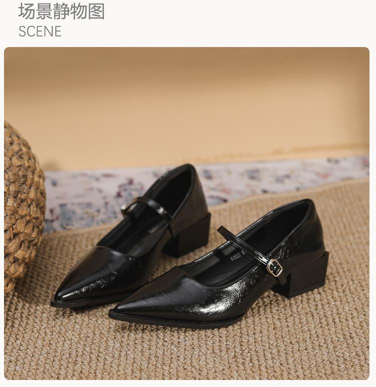 

2024 Spring and Autumn Simple Versatile Pointed Mary Jane Single Shoes Mori Retro Style Niche Buckle Thick Heel Small Leather Shoes Women 35 чёрный