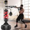 AIBEIJIAN Adult Freestanding Boxing Punching Bag & Speed Ball