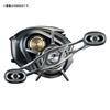 Daiwa 26 Steez SV Light Baitcasting Reel TW100XXHL