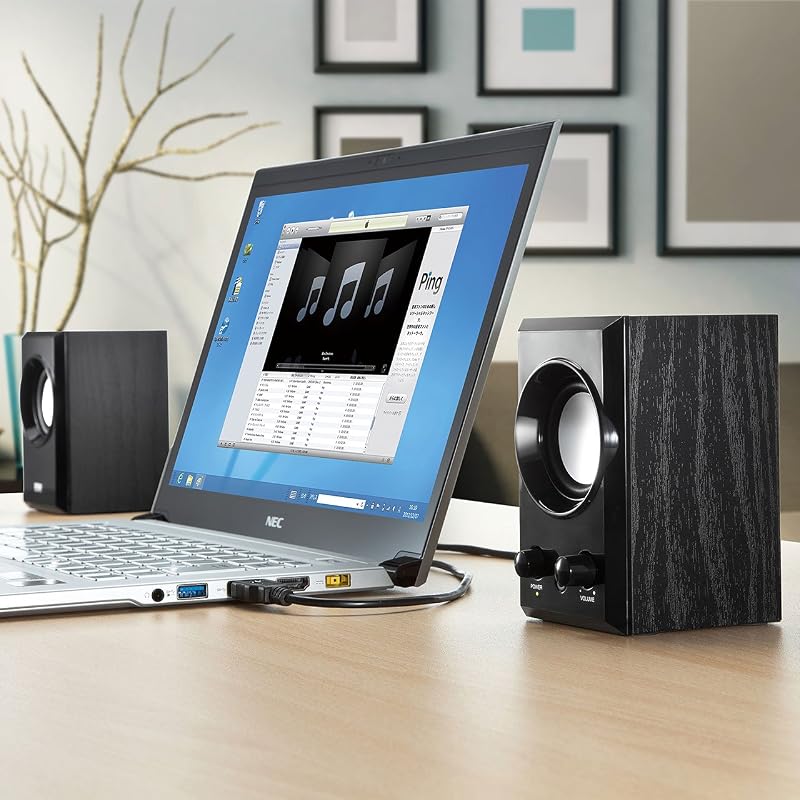 Sanwa Supply USB Speaker with Wooden Cabinet and Passive Radiator, Black MM-SPU7BK