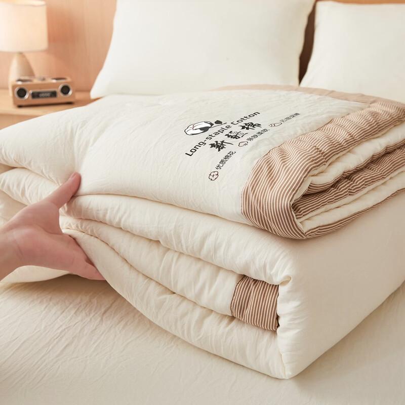 Qi Xi Ai Ultra-Soft Washed Cotton Summer Quilt