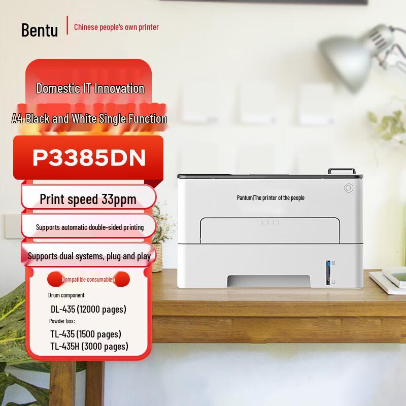 Pantum A4 Laser Printers CN plug (adapter included)