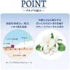 of Rohto Pharmaceutical Deoco Medicated Deodorant Body Cleanse Refill 250ml Bonus Mini [Set 3] + (Original Soap)