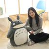Japanese Adorable Anime Movie Totoro Plush Toy Laugh Heartily Totoro Stuffed Anime Totoro Lotus Leaf Pillow Totoro Plushies Doll